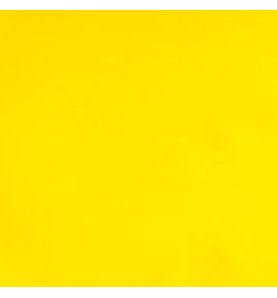 Peinture pour Ongles Paint Mania YellowPeggy Sage 12ml