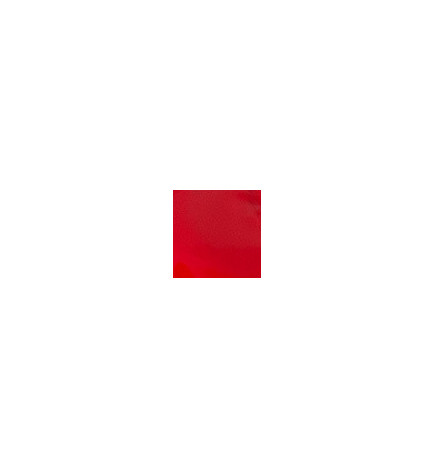 Peinture pour Ongles Paint Mania Red Peggy Sage 12ml