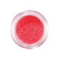 Paillettes pour Ongles Neon Coral Peggy Sage Paillettes pour Ongles Neon Coral Peggy Sage
