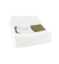 12 Serviettes Blanche Econet