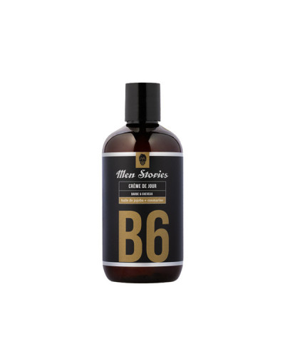 Crème de Jour Barbe et Cheveux B6 Men Stories 250ml
