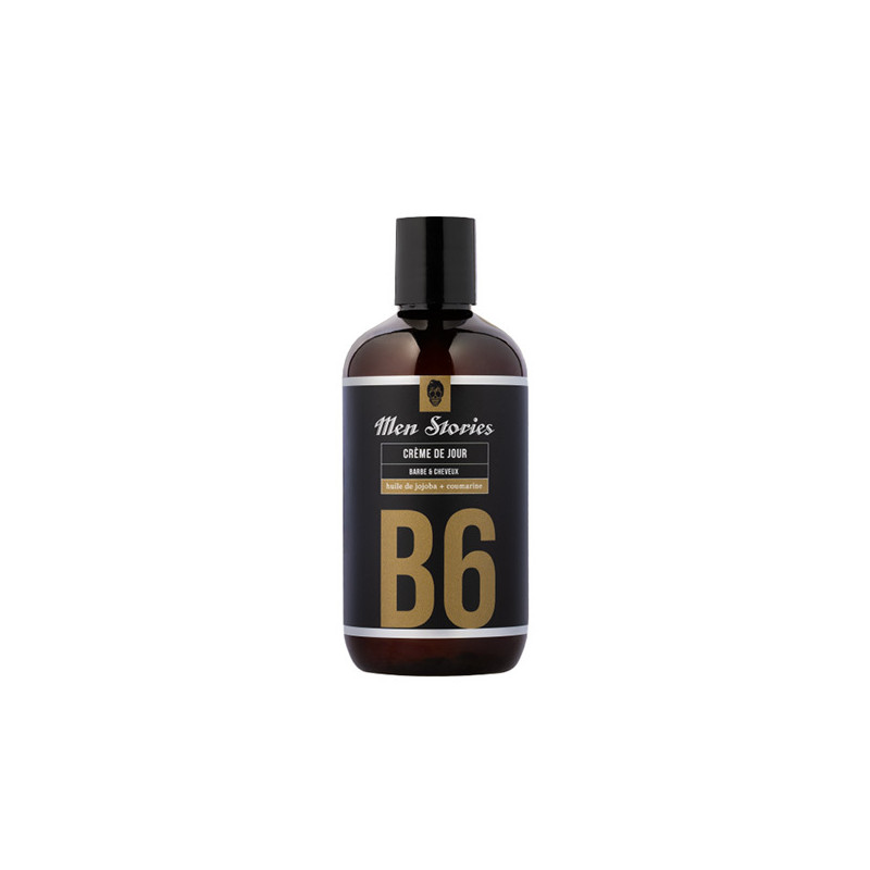 Crème de Jour Barbe et Cheveux B6 Men Stories 250ml