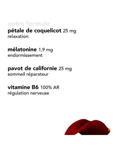 Gummies Sommeil Réparateur Yum Holistics x30