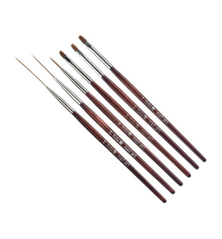 Set 6 Pinceaux Décoration Nail Art