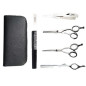 Kit Ciseaux 5,5" et Rasoirs SET IRON SCHOOL Mashiro