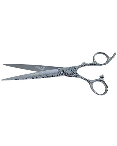 Ciseaux de Coiffure Professionnels Prince taille 6" Mashiro