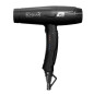 Sèche-Cheveux Professionnel Parlux Elysium Noir