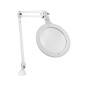 Lampe Loupe LED Oméga 7