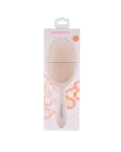 Brosse Pneumatique GM Sonora Framar