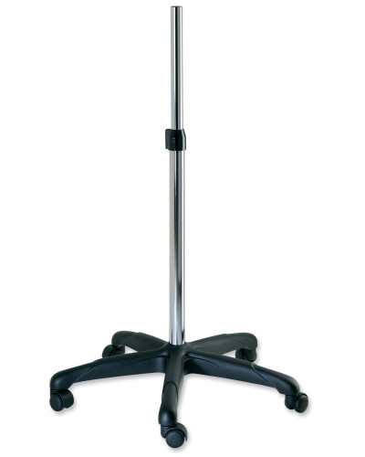 Pied Universal