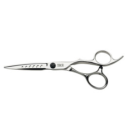 Ciseaux 5.5'' Summum Takai