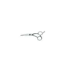 Ciseaux de Coiffure Takai Junko 55 Ciseaux