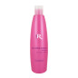 Shampoing Cheveux Secs, Abimés, Cassants 300ml