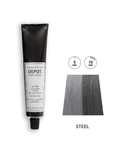 Kit Coloration Barbe et Cheveux Steel DEPOT 60ml