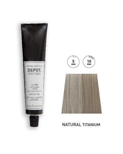 Kit Coloration Barbe & Cheveux n°506 Natural Titanium DEPOT