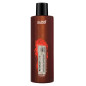 Shampooing Repigmentant Cuivré Retouch Lab 250ml