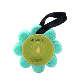 Éponge de Bain Exfoliante Infusée Verveine Coco Spongellé 85g