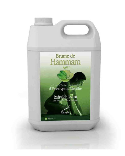 Brume De Hammam Eucalyptus 5 litres