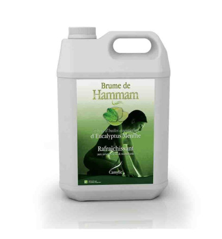 Brume De Hammam Eucalyptus 5 litres