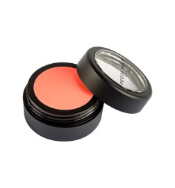 Correcteur de Teint Crème Compact Orange Peggy Sage 3g
