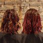 Shampoing Repigmentant Rouge de Venise Reflets Acajou 500ml Mulato