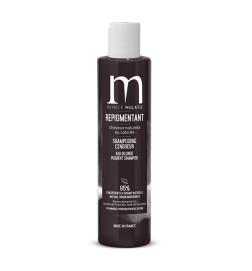 Shampoing Repigmentant Cendreur 200ml