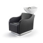 Bac de Lavage Artemisia Access Evo