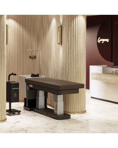 Bac de Lavage Zen Lift Head Spa Karisma