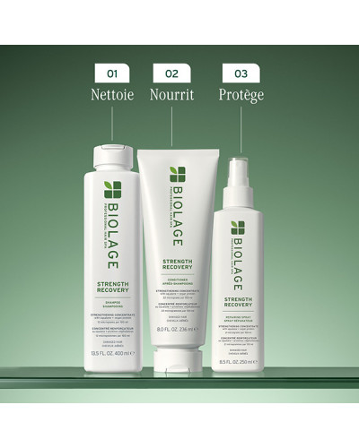 Spray Protecteur Strength Recovery 250mL Biolage