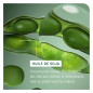 Color Last Shampooing cheveux colorés 1L Biolage Color Last Shampooing cheveux colorés 1L Biolage