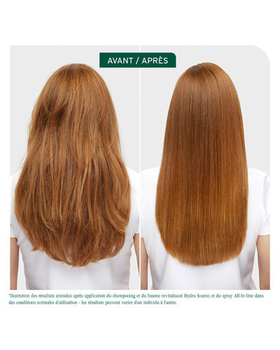 Spray All-In-One 250mL Biolage