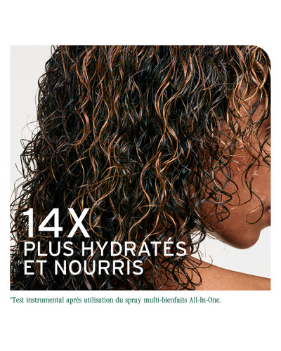 Spray All-In-One 250mL Biolage