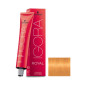 Igora Royal N° 0.55 Schwarrzkopf 60ml