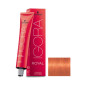 Igora Royal N° 0.77 Schwarzkopf 60ml