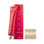 Igora Royal N° 12.1 Schwarzkopf 60ml Igora Royal N° 12.1 Schwarzkopf 60ml
