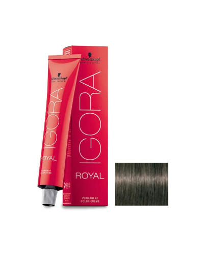 Igora Royal N° 6.1 Schwarzkopf 60ml