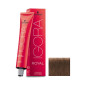 Igora Royal N° 6.65 Schwarzkopf 60ml Igora Royal N° 6.65 Schwarzkopf 60ml