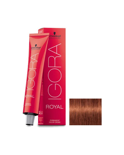 Igora Royal N° 6.77 Scharzkopf 60ml