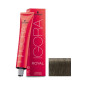 Igora Royal 7.24 Schwarzkopf 60ml