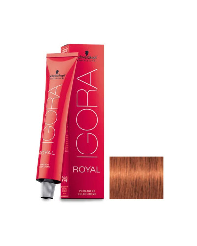Igora Royal N° 7.77 Schwarzkopf 60ml