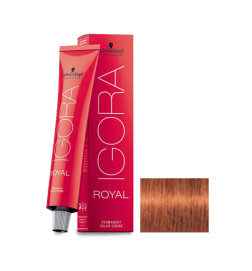 Igora Royal N° 7.77 Schwarzkopf 60ml
