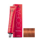 Igora Royal N° 7.77 Schwarzkopf 60ml Igora Royal N° 7.77 Schwarzkopf 60ml