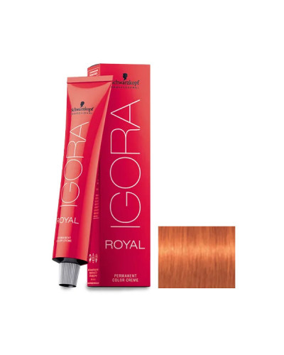 Igora Royal N° 8.77 Schwarzkopf 60ml