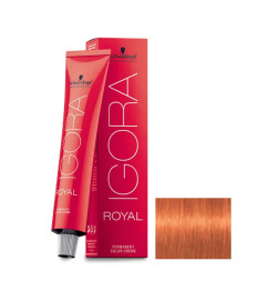 Igora Royal N° 8.77 Schwarzkopf 60ml