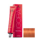 Igora Royal N° 8.77 Schwarzkopf 60ml