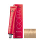Igora Royal N° 9.5-4 Schwarzkopf 60ml