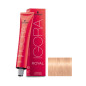 Igora Royal N° 9.5-49 Schwarzkopf 60ml
