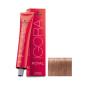 Igora Royal N° 9.67 Schwarzkopf 60ml