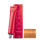 Igora Royal N° 9.7 Schwarzkopf 60ml Igora Royal N° 9.7 Schwarzkopf 60ml