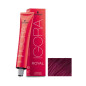 Igora Royal N° 9.98 Schwarzkopf 60ml